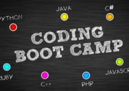 Bootcamps learn coursereport bootcamp visualization