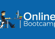 Are online coding bootcamps successful